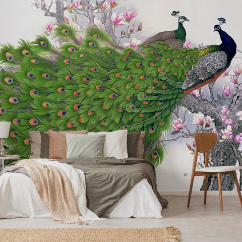 Elegant Peacock with Cherry Blossom Wallpaper Mural