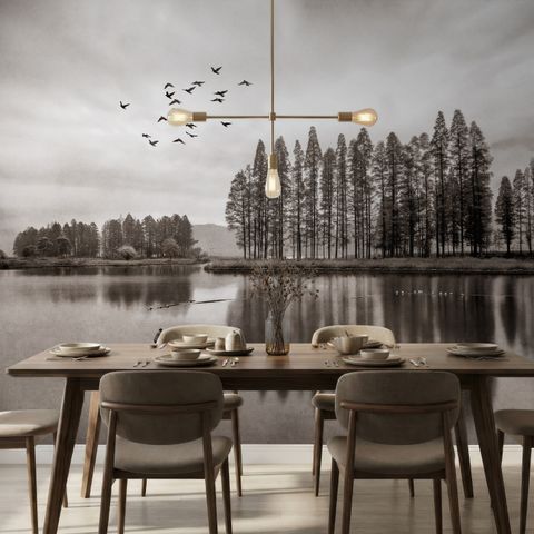 Monochrome Dark Forest and Lake Wallpaper Mural