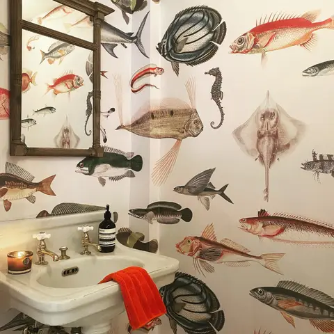 Vintage Style Aqua Fish Art Wallpaper Mural