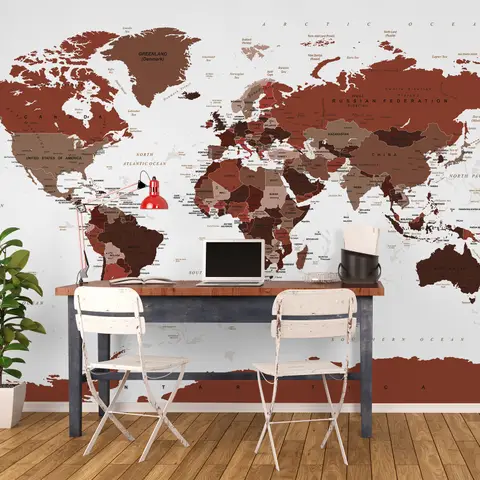 White and Brown Political World Map Wallpaper Mural