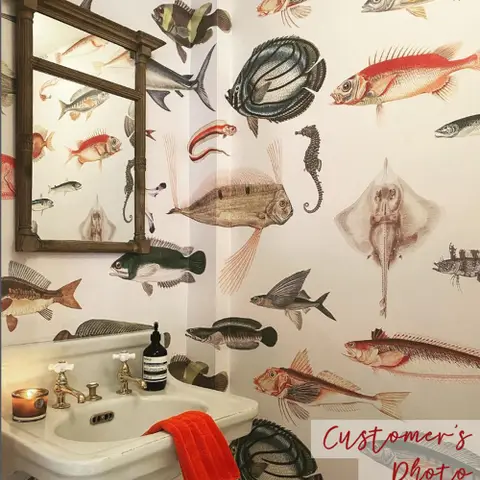 Vintage Style Aqua Fish Art Wallpaper Mural