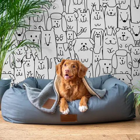 Cute Dog Face Pattern for Kids Wallpaper Mural