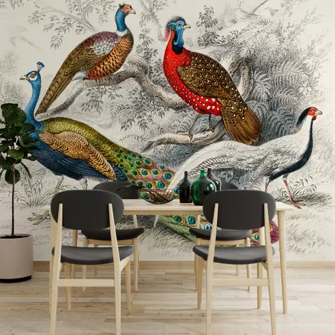 Historical Vintage Peacock Art Wallpaper Mural