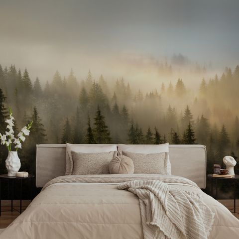 Papier peint panoramique de la forêt de pins brumeuse