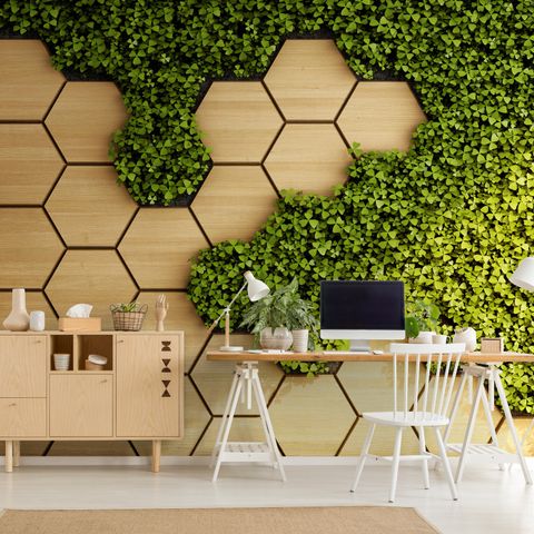 papier peint panoramique en nid d'abeilles et herbe fraîche, aspect 3D
