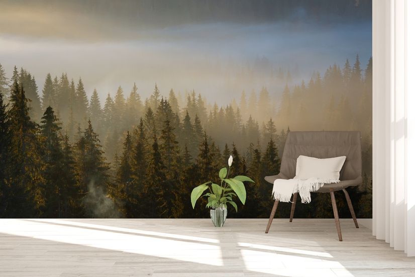 Foggy Pine Forest Landscape Wallpaper Mural