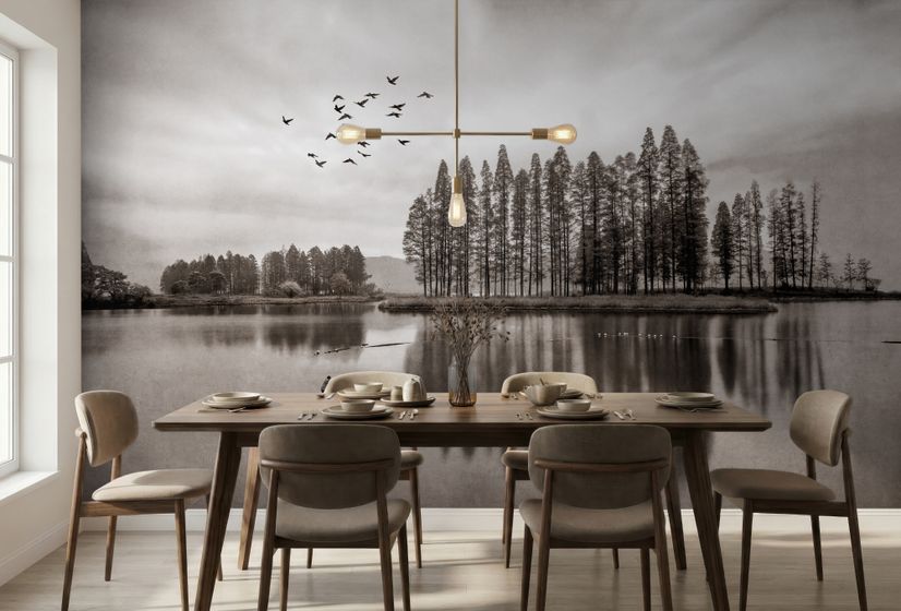 Monochrome Dark Forest and Lake Wallpaper Mural