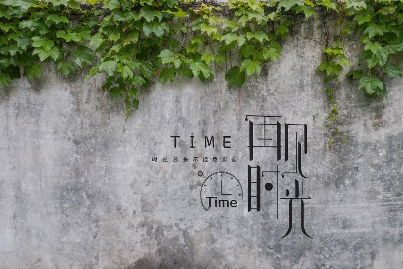 Nostalgic Ivy Leaf Wallpaper Mural