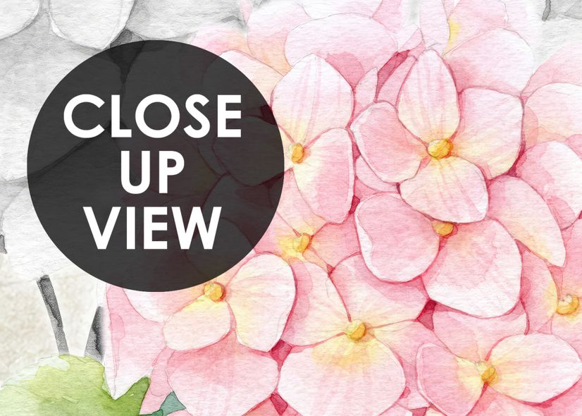 Hydrangea Floral Art Wallpaper Mural