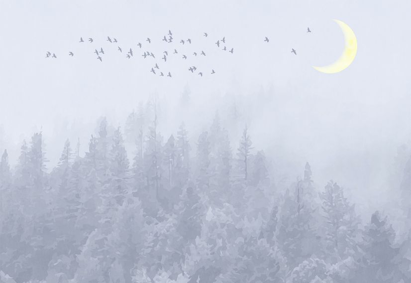 Monochrome Night Forest and Birds Wallpaper Mural