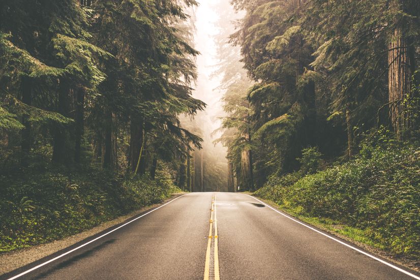 Highway on the Forest Landscape Wallpaper Mural