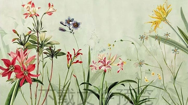 Colorful Plants and Flowers Wallpaper Mural