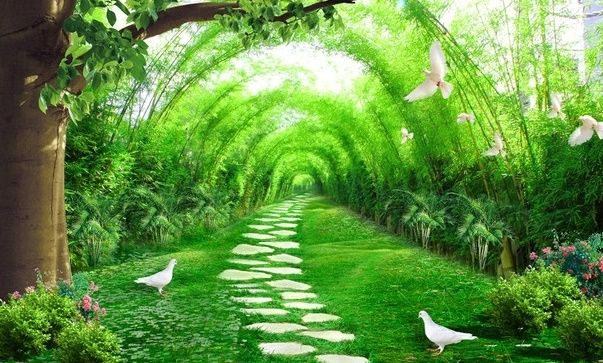 Green Bamboo Path Wallpaper Mural, Custom Sizes Available