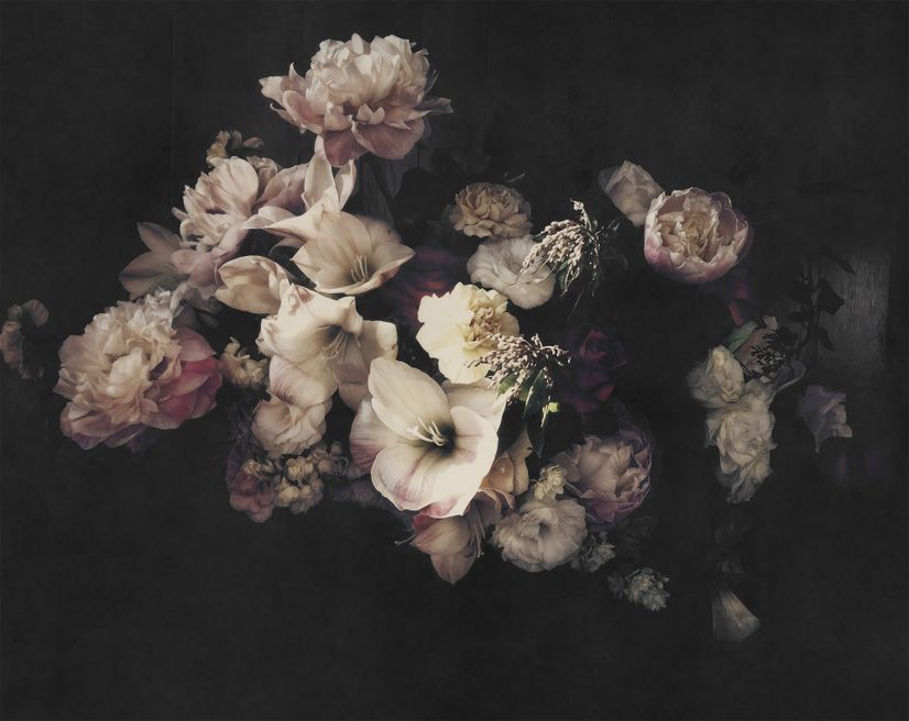 Dutch Dark Floral Wallpaper Mural