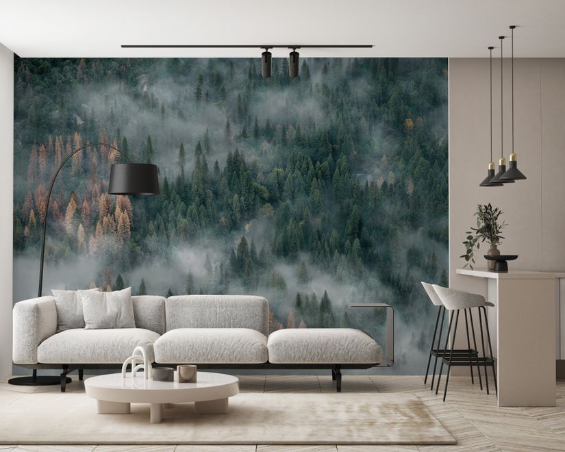 Misty Forest Wallpaper Mural