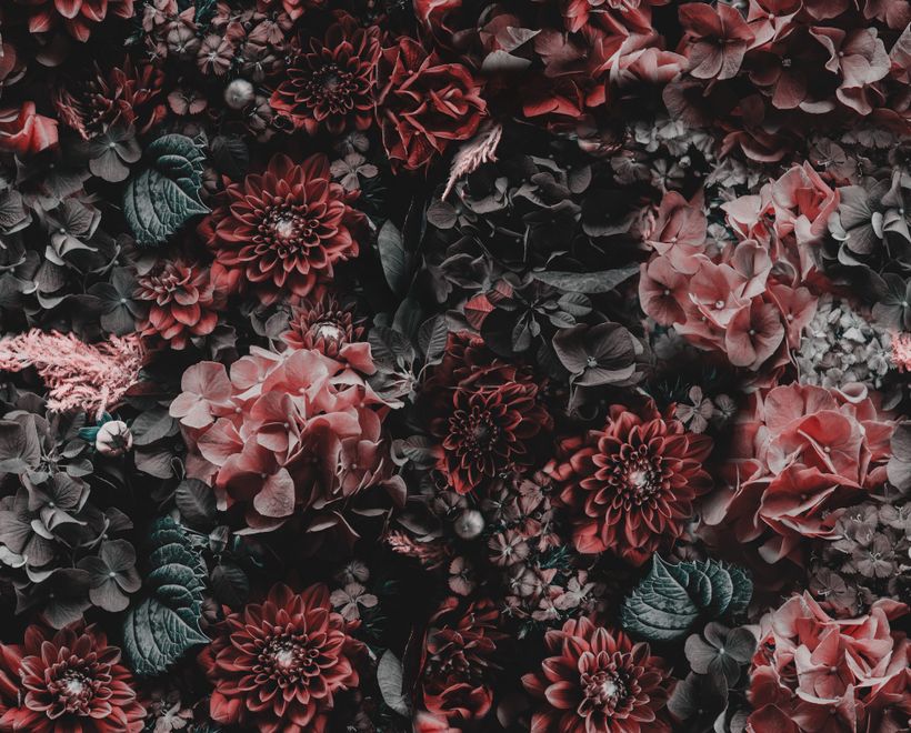 Dark Floral Wallpaper Mural