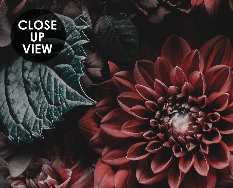 Dark Floral Wallpaper Mural
