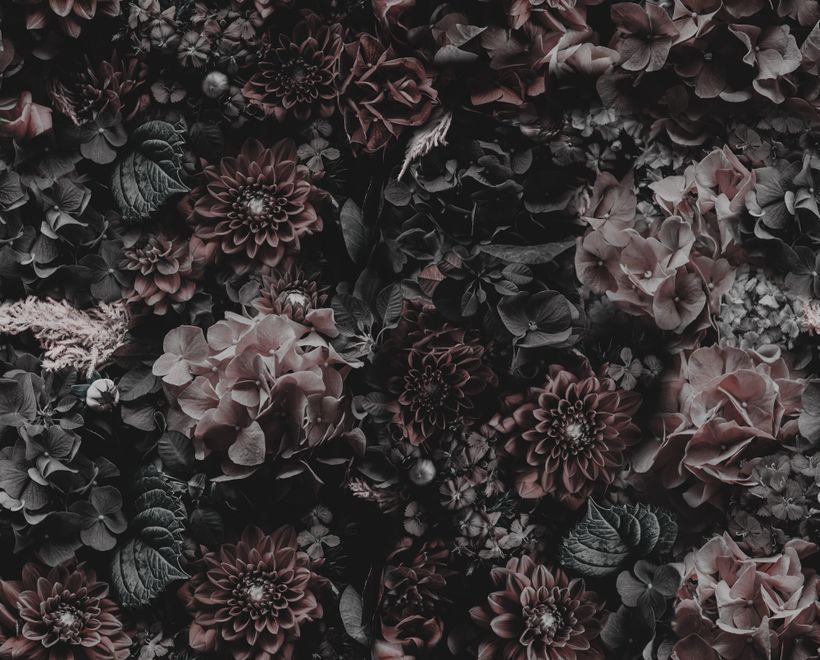 Dark Floral Hydrangea Wallpaper Mural