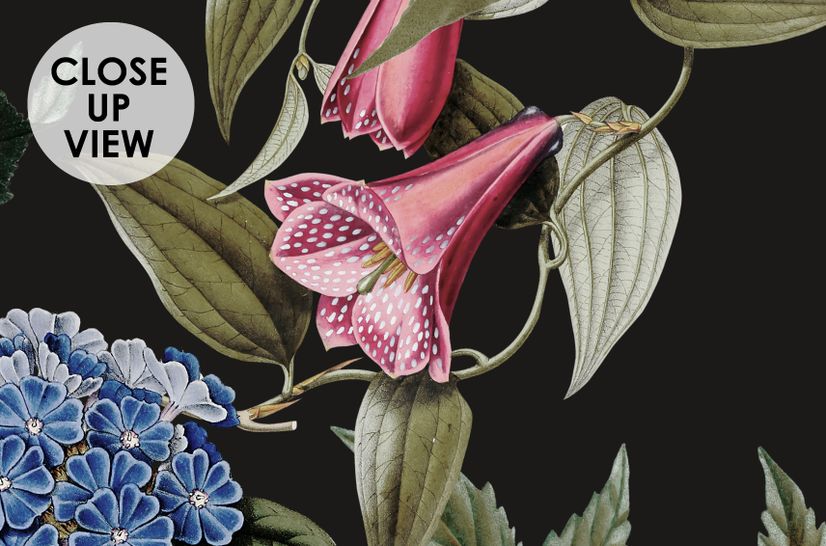 Botanical Flowers Floral with Birds Wallpaper Mural