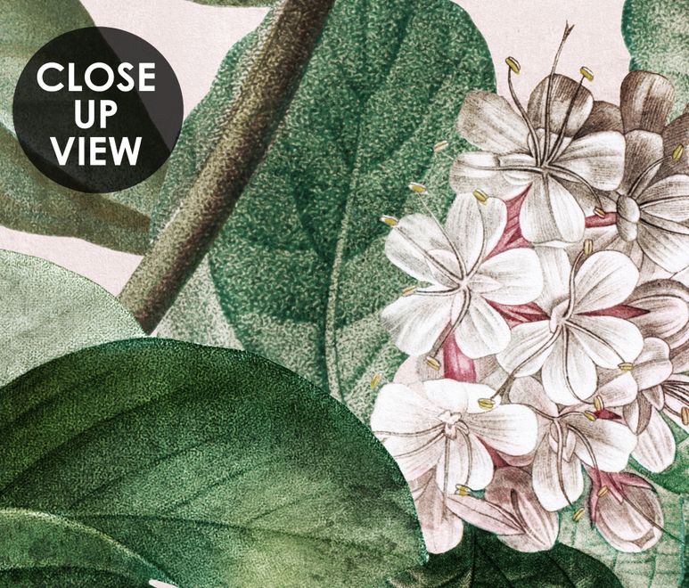 Dark Botanical Soft Floral Wallpaper Mural