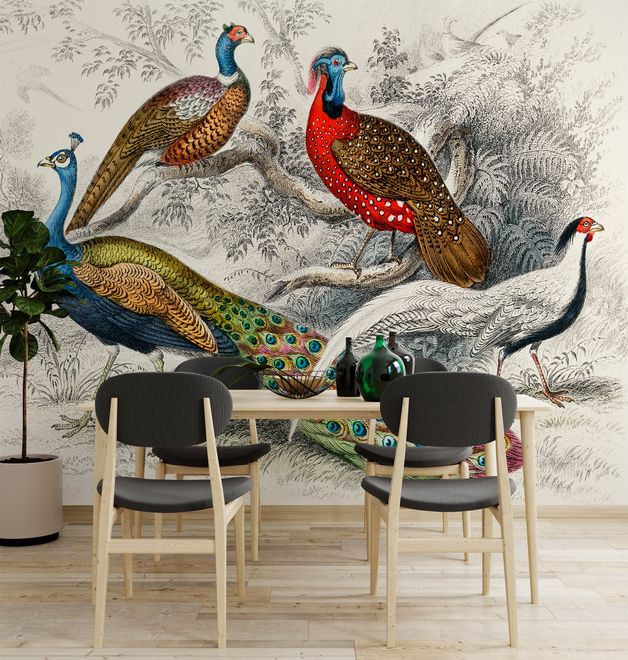 Historical Vintage Peacock Art Wallpaper Mural