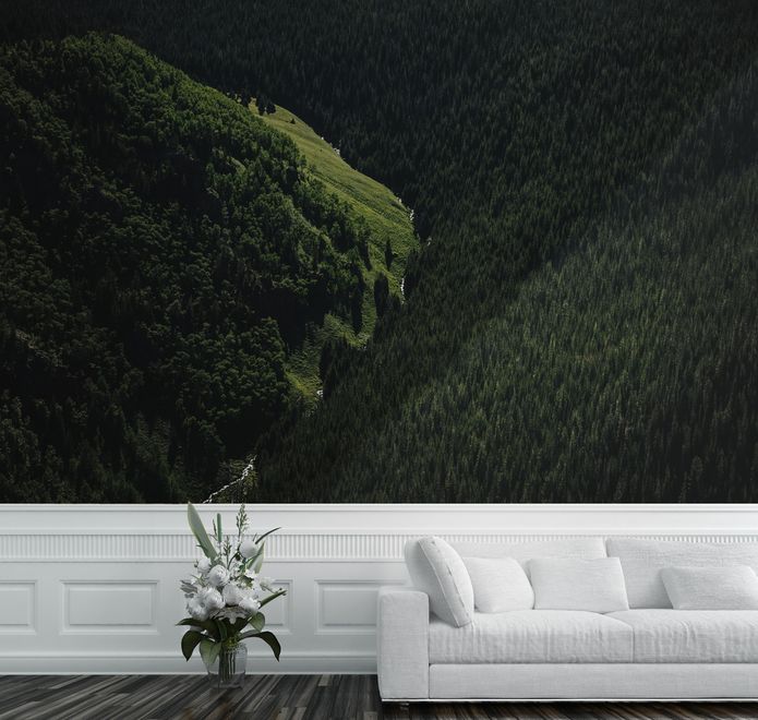 Aerial Nature Forest on Mountains View Wallpaper Mural