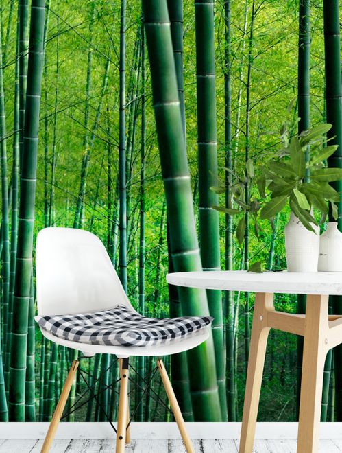 Green Bamboo Michalsky Living 37989-3 Wallpaper