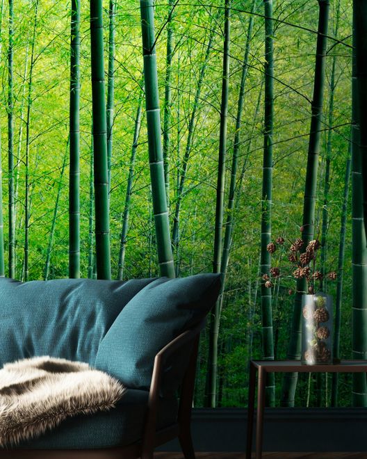 Bamboo Wallpaper - Etsy
