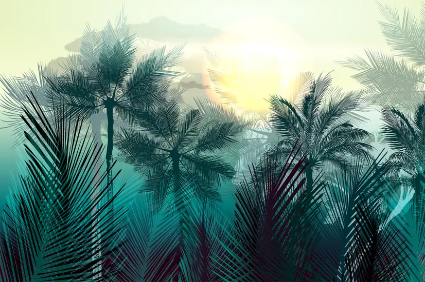Tropical Palm Trees and Sunlight Wallpaper Mural