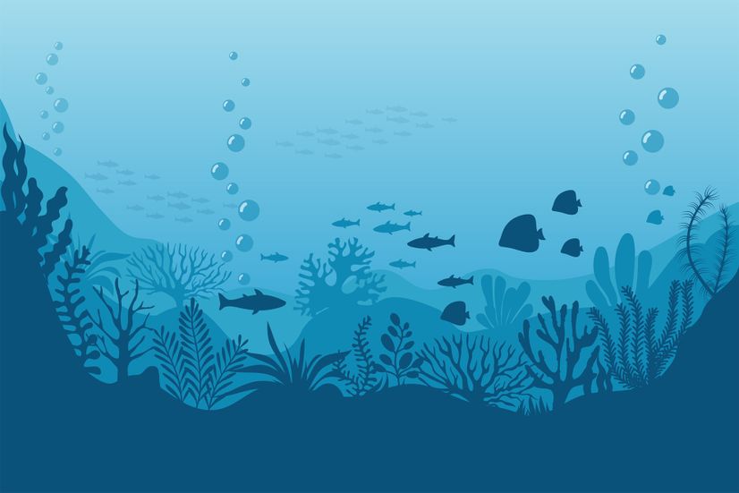 Kids Underwaters and Fish Wallpaper Mural