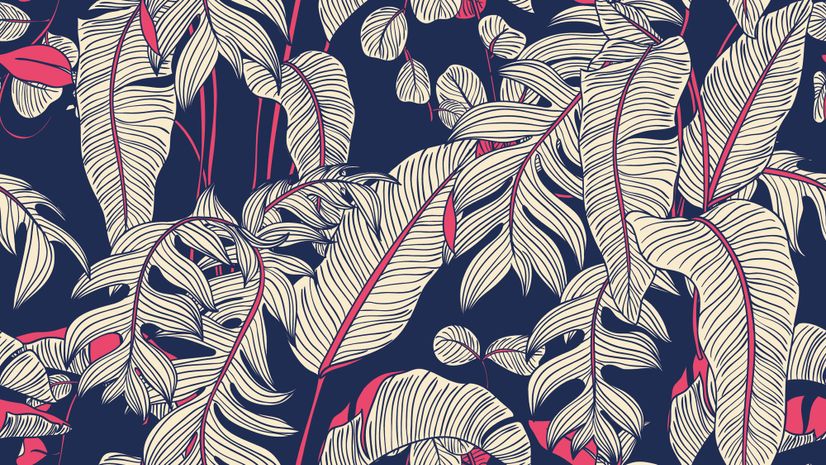 Dark Palm Leaf Wallpaper Mural
