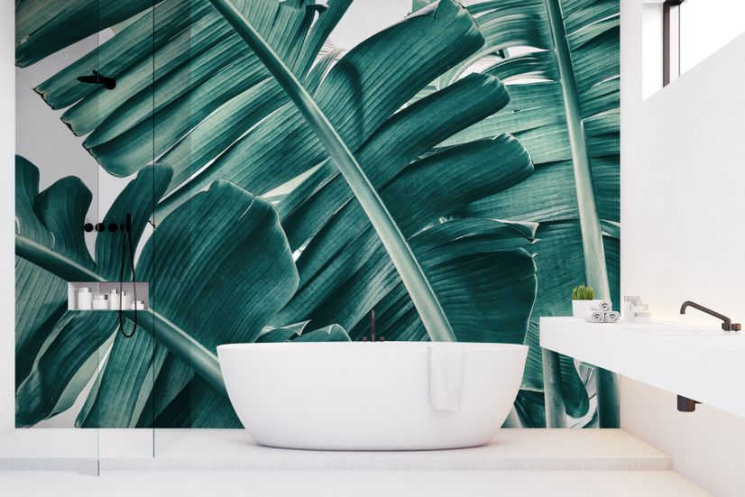 Tropical Palm Leaves Wallpaper Mural