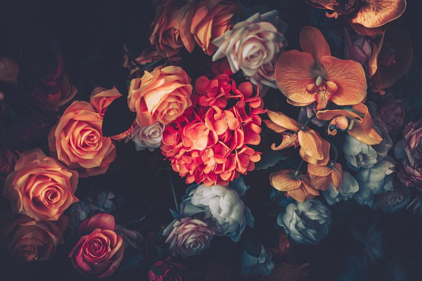 Red Hydrangea Orange Orchid Rose Dark Floral Bouqet Wallpaper Mural