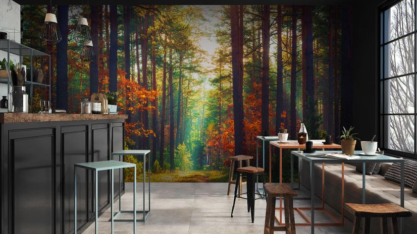 Red Forest Autumn Wallpaper Mural