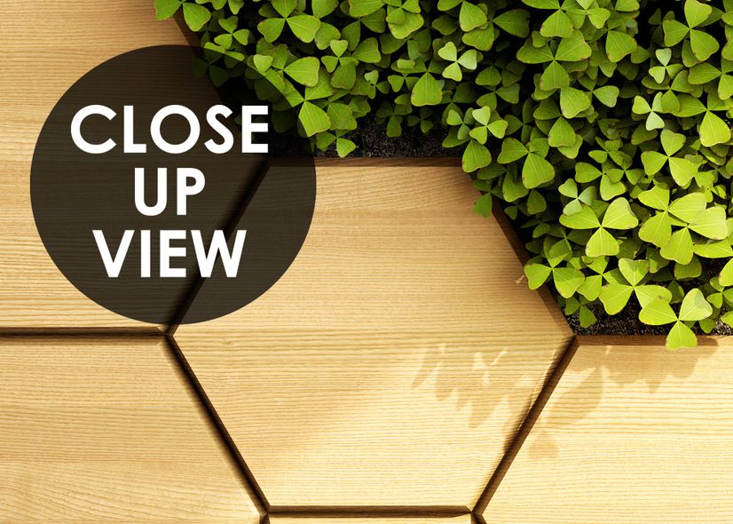 Hexagon Honeycomb Pattern and Fresh Grass Wallpaper Mural