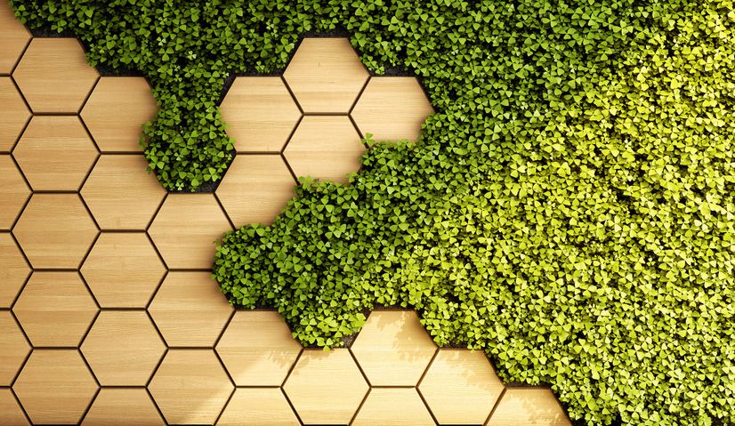 Hexagon Honeycomb Pattern and Fresh Grass Wallpaper Mural