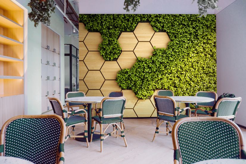 Hexagon Honeycomb Pattern and Fresh Grass Wallpaper Mural