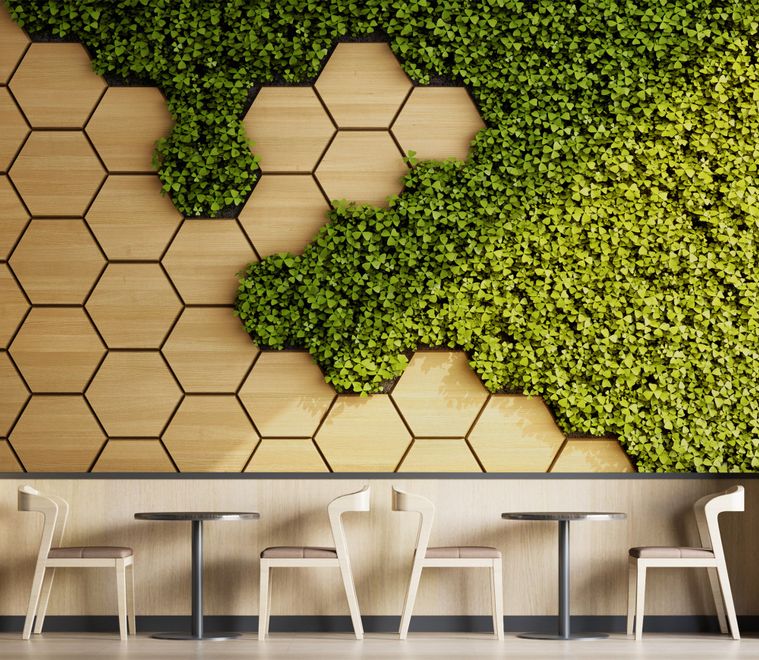 Hexagon Honeycomb Pattern and Fresh Grass Wallpaper Mural
