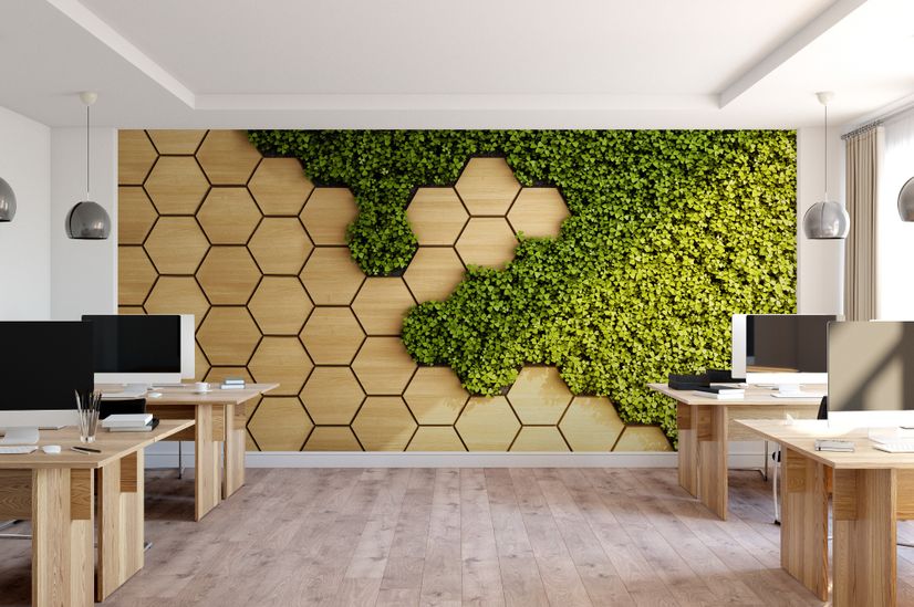 Hexagon Honeycomb Pattern and Fresh Grass Wallpaper Mural