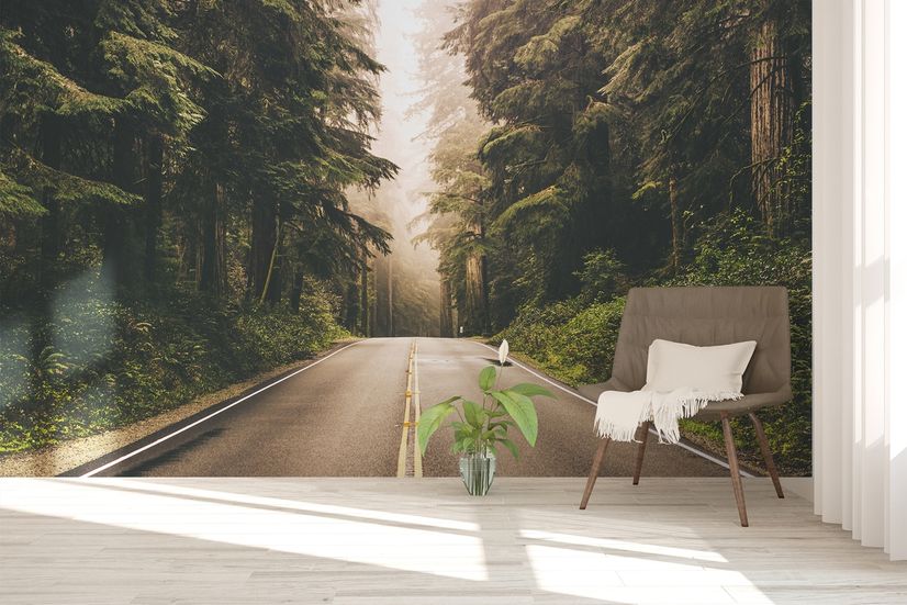 Highway on the Forest Landscape Wallpaper Mural
