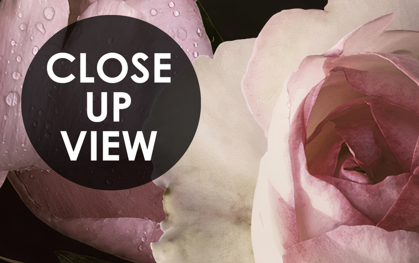 Dark Peony Floral Bouquet Wallpaper Mural