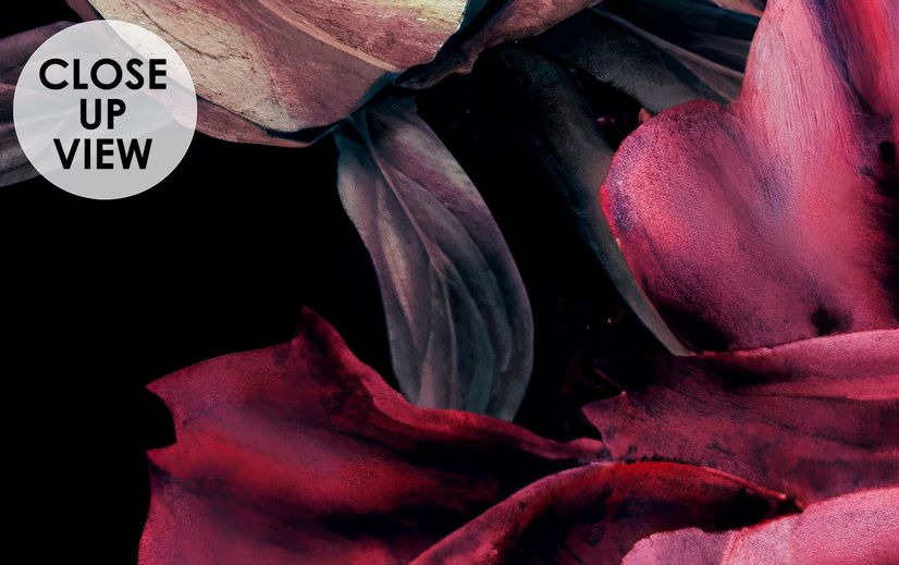 Dark Watercolor Colorful Peony Floral Wallpaper Mural