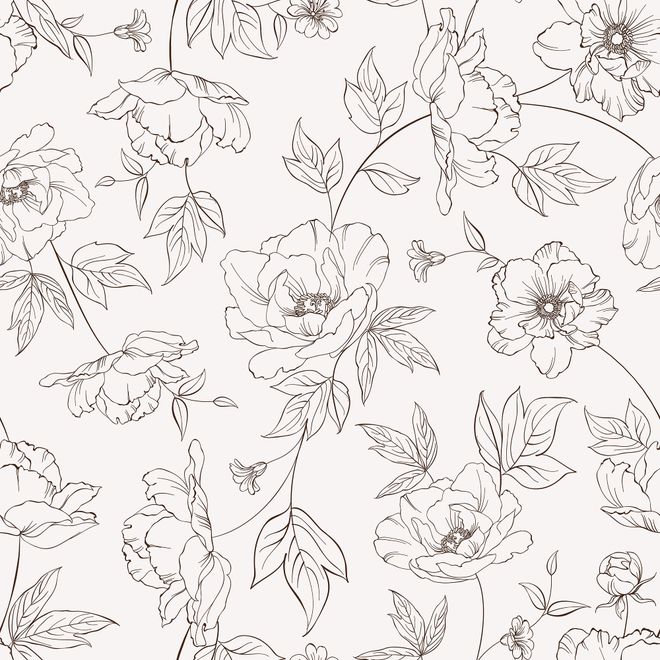 Poppy Drawing Floral Wallpaper Mural