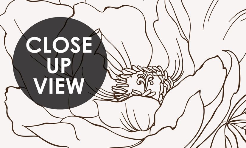 Poppy Drawing Floral Wallpaper Mural