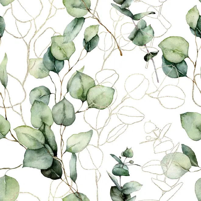 Watercolor Green Eucalyptus Leaf Wallpaper Mural