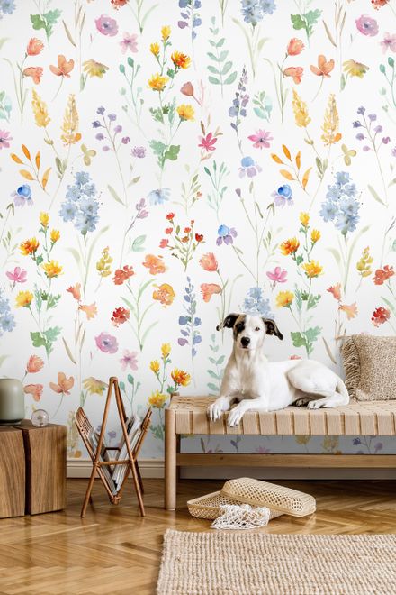 Watercolor Colorful Botanical Wild Flower Wallpaper Mural