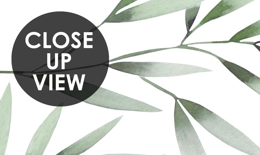 Watercolor Green Olive Leaves Pattern Wallpaper Mural