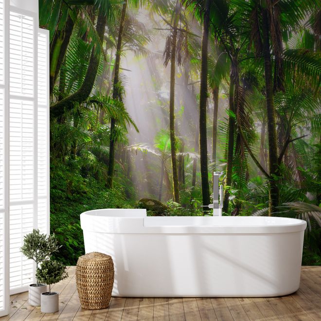 Tropical Forest Jungle Scenery Wallpaper Mural