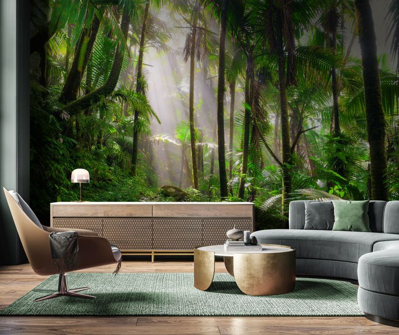 Tropical Forest Jungle Scenery Wallpaper Mural