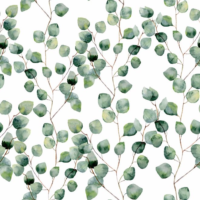 Watercolor Eucalyptus Leaf Pattern Wallpaper Mural
